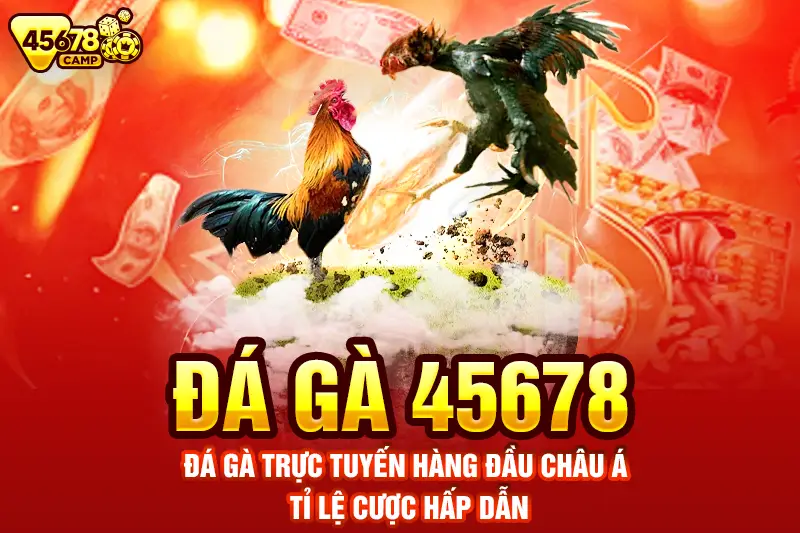 Đá gà 45678