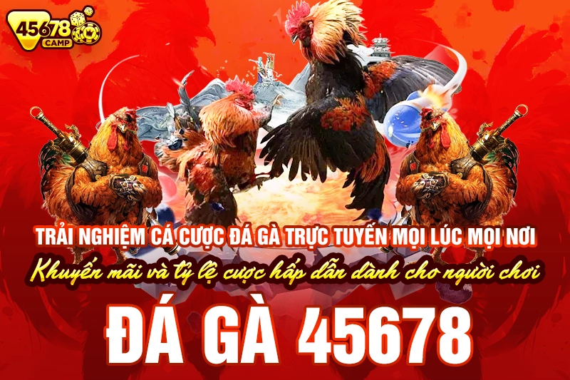 Lợi ích khi chơi Đá gà 45678