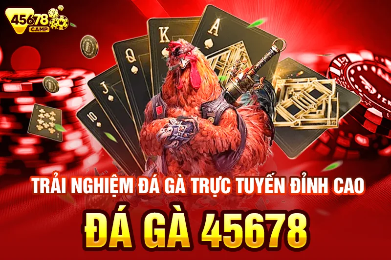 Những lợi ích của việc tham gia Đá gà 45678